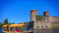 Private Ecoboat Charter Cruise in Savonlinna during the Opera Festival