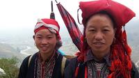 2 jours-3 nuits en petit groupe Sapa Trekking Tour de Night Train de Hanoi