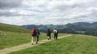 Full-Day Private Tour and Hike in the Lake District