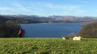 Private Tour: Lake District of Beatrix Potter