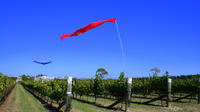 Visite privée: Wairarapa Wine Tour