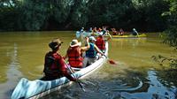 Canoeing Day Trip from Targu Mures