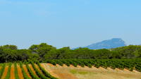 Full-Day Small-Group Pic Saint-Loup and Languedoc Wine Tour with Lunch from Montpellier