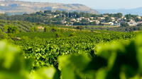 Languedoc vin- og oliventur for liten gruppe med lunsj fra Montpellier Languedoc vin- og oliventur for liten gruppe med lunsj fra Montpellier