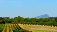 Small-Group Half-Day Languedoc Pic Saint-Loup Wine Tour from Montpellier