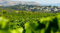 Small-Group Languedoc Wine and Olive Tour with Lunch from Montpellier