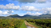 Visite privée : excursion exclusive à la découverte des vins du Languedoc au départ de Montpellier
