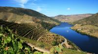 Private Tour: Douro Valley Wine Experience from Porto