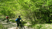 Private Cycling Tour in Rkoni from Tbilisi