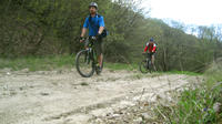 Private Cycling Tour in Tbilisi National Park from Tbilisi