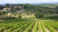 Private Tour: Chianti Region Tour by Minivan