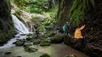 3-Day Apuseni Natural Park Private Tour from Cluj-Napoca