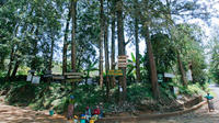 Une excursion de 6 jours au Mont Kilimandjaro via la route Marangu Une excursion de 6 jours au Mont Kilimandjaro via la route Marangu