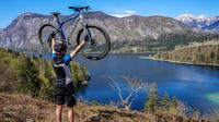 Bohinj Valley Bike Adventure from Bled