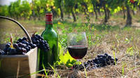 Private Wine Tour to Kakheti from Tbilisi