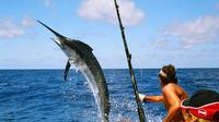 Big Game Fishing All Inclusive Tour with Lunch from Split