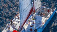 Bol and Brac Party Catamaran with Free Food and Drinks from Split