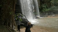 Shimba Hills Day Safari