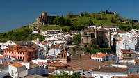 Aracena and Riotinto Mines Day Tour from Seville 