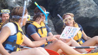 Kayak and Snorkel in Llanca