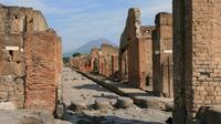 Small-Group Tour: Pompeii and Naples Full Day Tour from Rome - Pizza Lunch Included