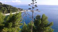 Small-Group Split City Bike Tour with Beach Visit 