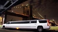 Excursión privada por las luces de Nueva York en limusina o autobús de fiesta Excursión privada por las luces de Nueva York en limusina o autobús de fiesta
