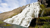 Isafjordur Shore Excursion: Dynjandi Waterfall Tour