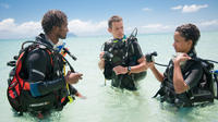 Dive Courses in the Seychelles