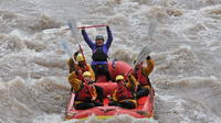 Canon City Half-Day Whitewater Rafting in Royal Gorge