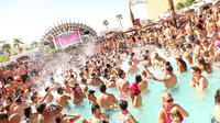 Day Club Pool Party Tour with Party Bus Transportation
