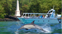 COMBO: Kealakekua Bay et Wild Dolphin Snorkel avec déjeuner barbecue