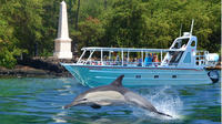 COMBO: Kealakekua Bay and Wild Dolphin Snorkel with Lunch