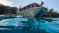 Private Charter: Customizable Big Island Boat Adventure