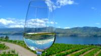 Art, Vin et de l'expérience culinaire à Okanagan Vineyard