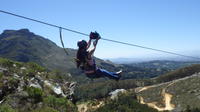 Constantia Zipline Adventure in Cape Town 