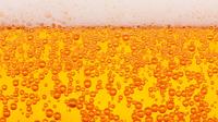 Sacramento Interdiction Brewery Tour