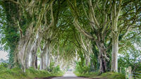 'Game of Thrones' Locations Tour including the Giants Causeway from Belfast