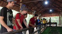 Cu Chi Tunnels Experience: Small Group Tour