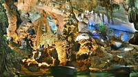 Overnight Vinh Moc Tunnels and Phong Nha National Park Tour