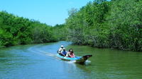 Can Gio Mangrove and Monkey Island Adventure Tour from Ho Chi Minh City