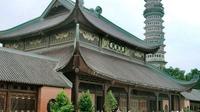 Full-Day Tour of Bai Dinh Pagoda and Trang An Cave