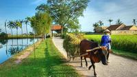 Hanoi: Duong Lam Historical Village Private Day Tour