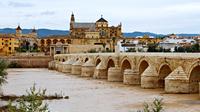 Private Guided City Tour of Cordoba