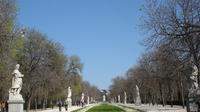 Private Guided Half Day City Tour in Madrid with Public Transportation