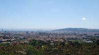 Half Private Day City Tour à Barcelone