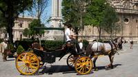 Private Horse Carriage Ride and Walking Tour of Seville