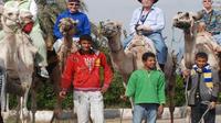 Horseback Camel or Donkey Ride Along the West Bank