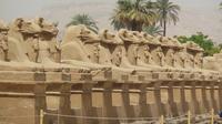 Luxor Guided 2- day Tour Valley of the Kings and Luxor Temples with Optional  Accommodation