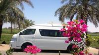 Private Car and Driver for 1 Day in Luxor